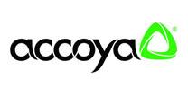 Accoya modified timber